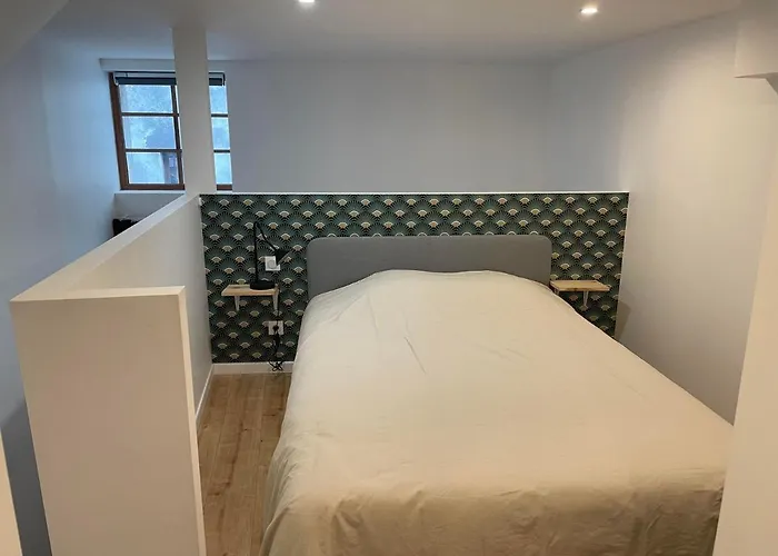 Duplex Cosy Au Coeur De Royat