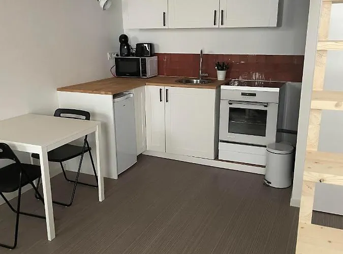 Duplex Cosy Au Coeur De Royat